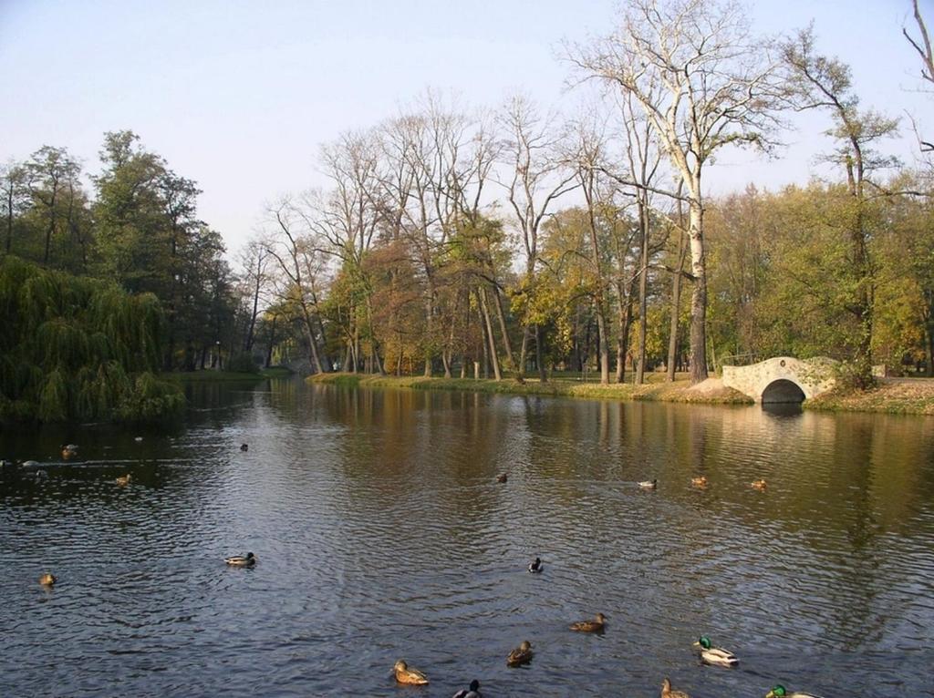 Comfortbiznes Pruszkow Pruszków Exterior foto